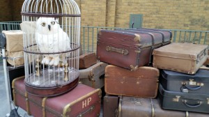 Harrys Gepäck, inklusive Hedwig