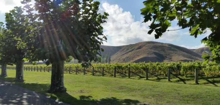 mission estate: wo der wein nach neuseeland kam